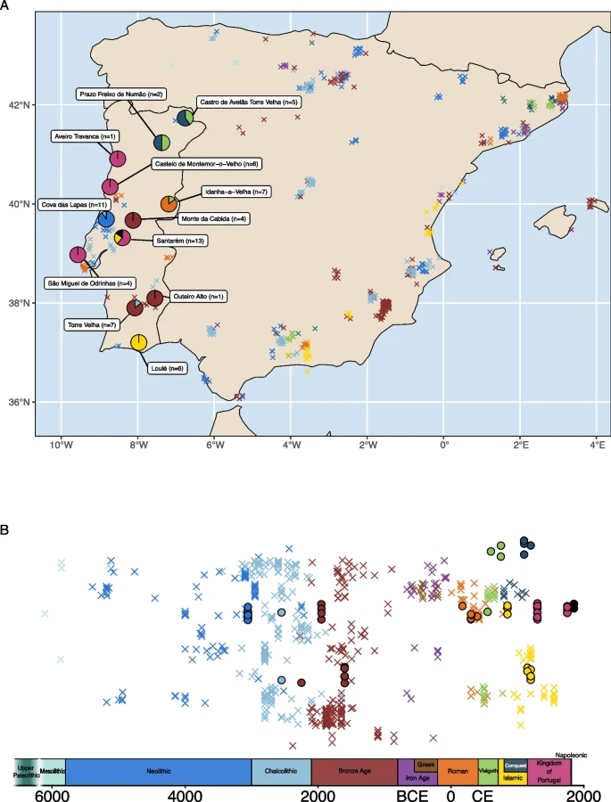 Click to view full size Workflow Diagram