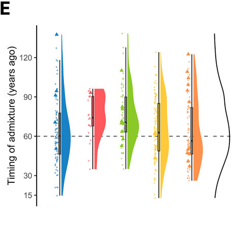 Timing of admixture across populations